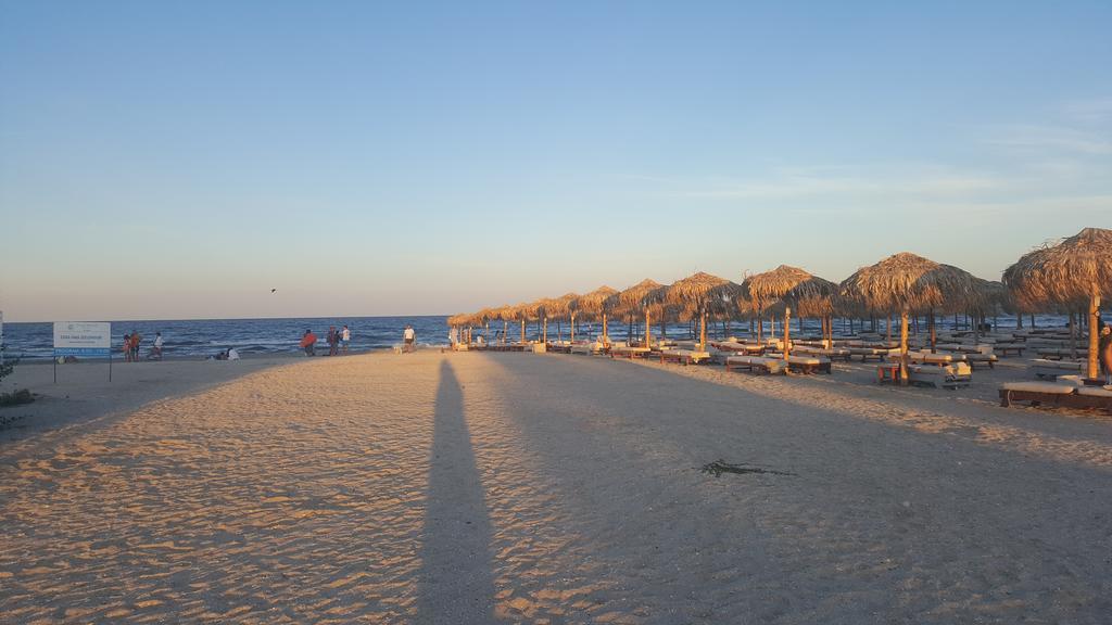 Bruno Summerland Mamaia