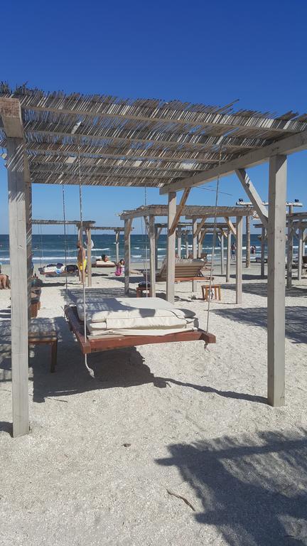 Bruno Summerland Mamaia