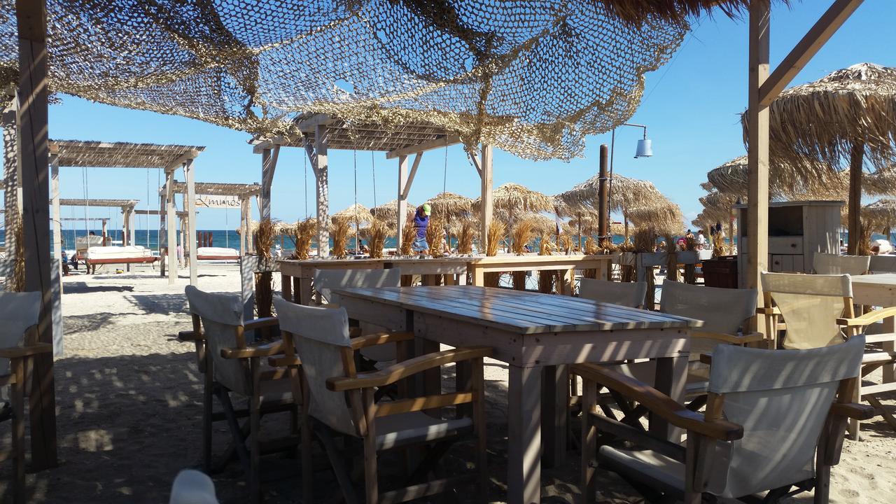 Bruno Summerland Mamaia